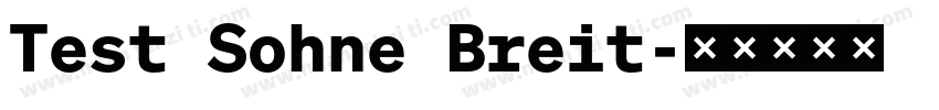 Test Sohne Breit字体转换